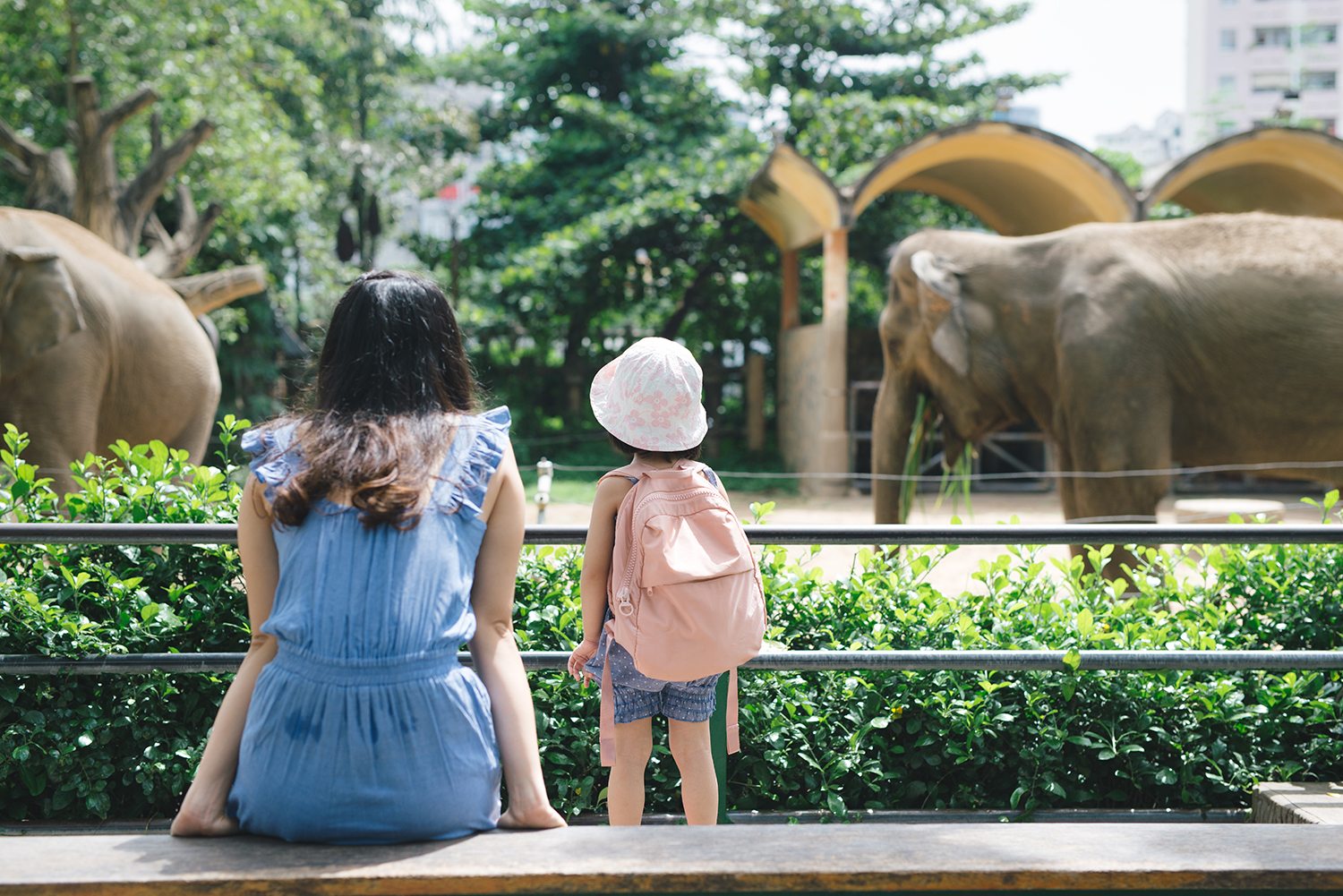 Hi zoo. Девушка в зоопарке. Мама с дочкой в зоопарке. С мамой в зоопарке. Девушка в зоопарке фотосессия.