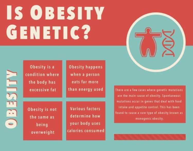 Genetic Factors in Obesity