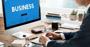 Building Your Business Website Like a Pro